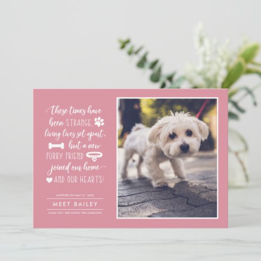 奇妙な時に新しいペットの写真アナウンス|ピンク シーズンカード (スタンド正面)