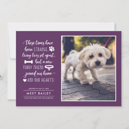 奇妙な時に新しいペットの写真アナウンス|プラム シーズンカード (正面)