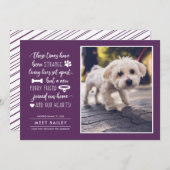 奇妙な時に新しいペットの写真アナウンス|プラム シーズンカード (正面/裏面)