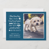 奇妙な時に新しいペットの写真アナウンス|青 シーズンカード (正面)