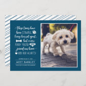 奇妙な時に新しいペットの写真アナウンス|青 シーズンカード (正面/裏面)