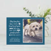 奇妙な時に新しいペットの写真アナウンス|青 シーズンカード (スタンド正面)