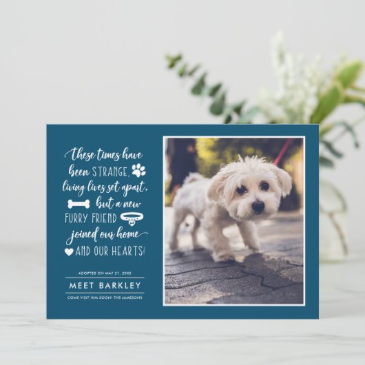 奇妙な時に新しいペットの写真アナウンス|青 シーズンカード (スタンド正面)