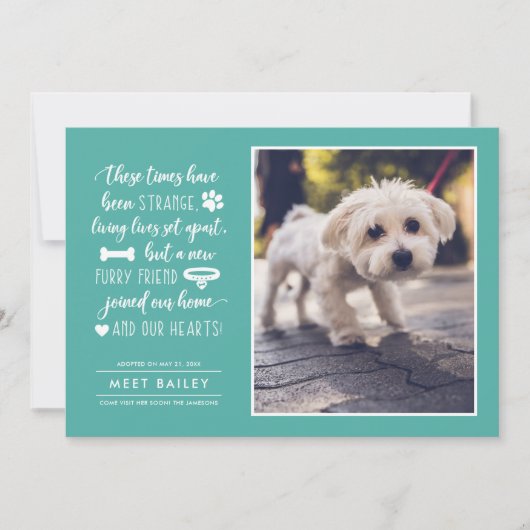 奇妙な時の新しいペットの写真のお知らせ | ティール シーズンカード (正面)