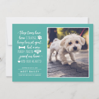 奇妙な時の新しいペットの写真のお知らせ | ティール シーズンカード