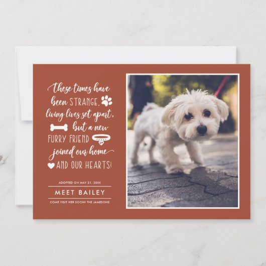 奇妙な時代に新しいペットの写真アナウンス |オレンジ シーズンカード (正面)