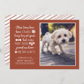 奇妙な時代に新しいペットの写真アナウンス |オレンジ シーズンカード (正面/裏面)