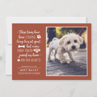 奇妙な時代に新しいペットの写真アナウンス |オレンジ シーズンカード