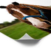 奇妙な栗 ポスター (角)