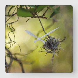 奇妙な植物 スクエア壁時計