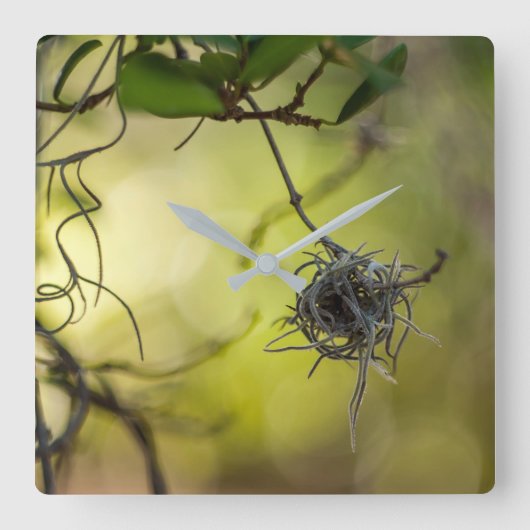奇妙な植物 スクエア壁時計 (正面)