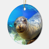 奇妙な海獅子水中ガラパゴス楽園 セラミックオーナメント (左)