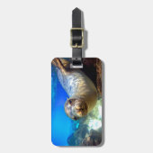 奇妙な海獅子水中ガラパゴス楽園 ラゲッジタグ (正面縦)