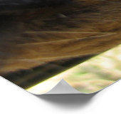 奇妙な牛のポスター ポスター (角)