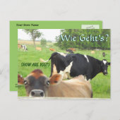 奇妙な牛！パオランダ!リチッツ/ランカスター ポストカード (正面/裏面)