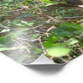 奇妙な白い鹿の写真 フォトプリント            (角)