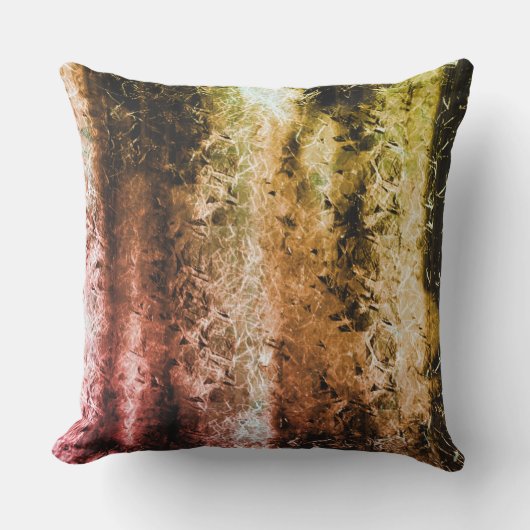 奇妙な老化した繊維質及び土または焦げ アウトドアクッション (正面)