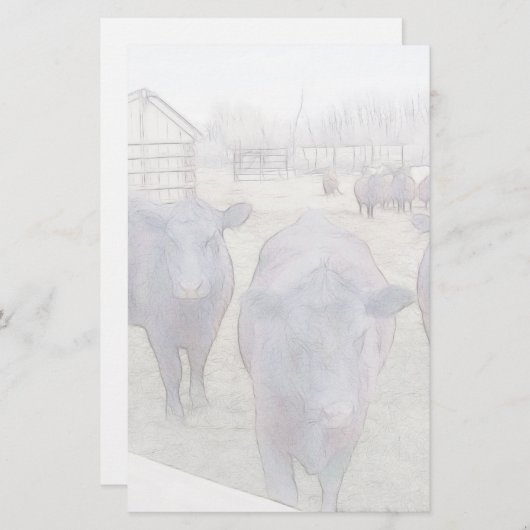 奇妙な若い黒アンガス 便箋 (正面/裏面)