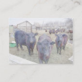 奇妙な若い黒アンガス 名刺 (裏面)