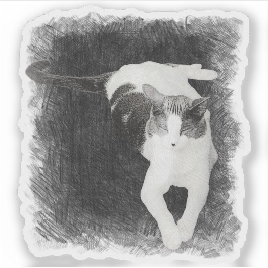 奇妙な角度 シール (正面)