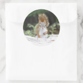 奇妙な赤いリスの丸いシール ラウンドシール (バッグ)