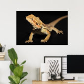 奇妙な髭の竜3 ポスター (ホームオフィス)