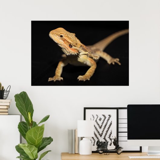 奇妙な髭の竜3 ポスター (ホームオフィス)