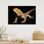 奇妙な髭の竜3 ポスター (キッチン)