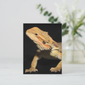 奇妙な髭の竜3 ポストカード (スタンド正面)