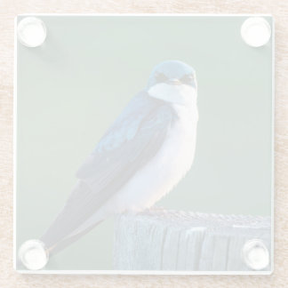 奇妙な鳥 ガラスコースター