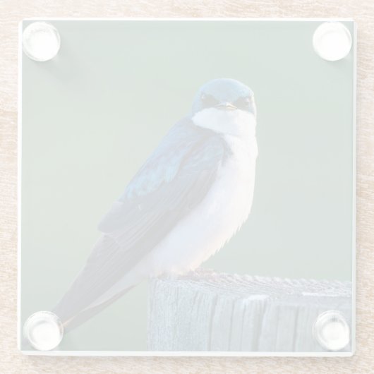 奇妙な鳥 ガラスコースター (裏面)