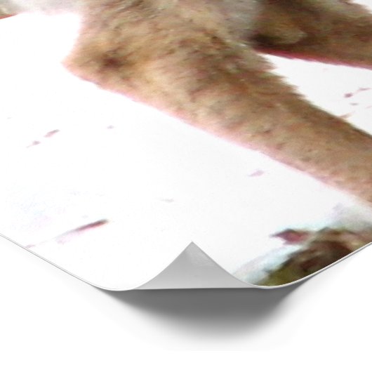 奇妙な鹿 ポスター (角)