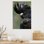 奇妙な黒いコカトゥー ポスター (キッチン)