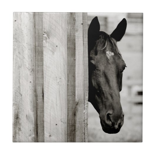 奇妙な黒い馬 タイル (正面)