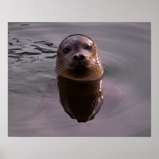 奇妙な ポスター (正面)