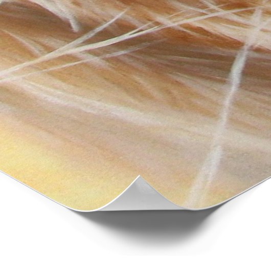 奇妙な ポスター (角)