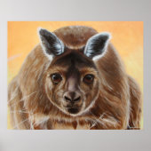 奇妙な ポスター (正面)