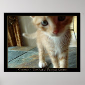 奇妙な ポスター (正面)