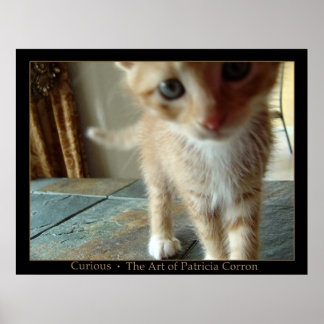 奇妙な ポスター