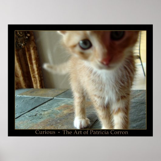 奇妙な ポスター (正面)