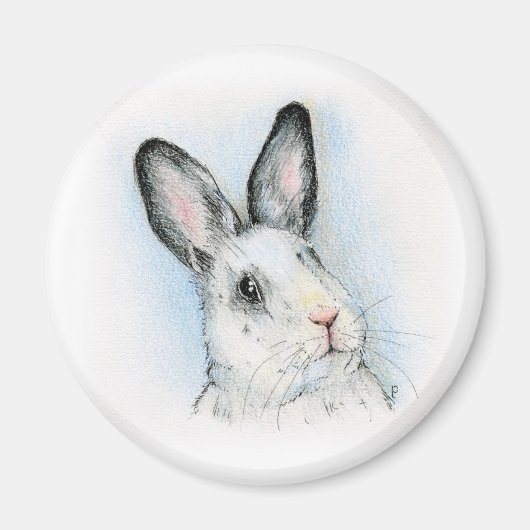 奇妙な マグネット (正面)