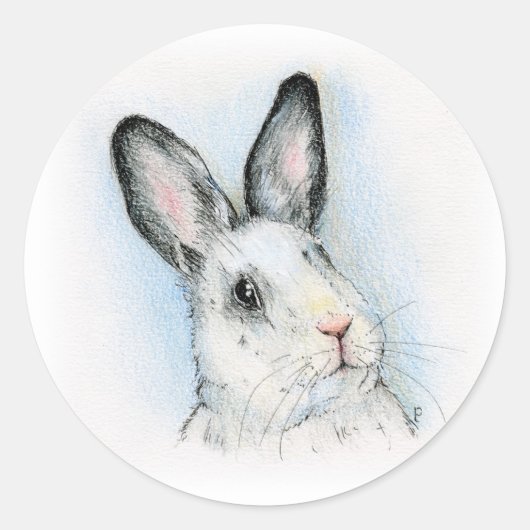 奇妙な ラウンドシール (正面)