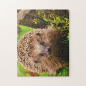 奇妙に探検するハリネズミ ジグソーパズル (縦)