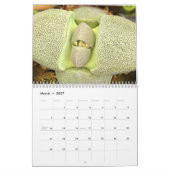 奇妙に素晴らしい多肉食カレンダー カレンダー (3月 2027)