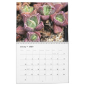 奇妙に素晴らしい多肉食カレンダー カレンダー (1月 2027)