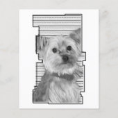 奇数レックスポーペットロス記念カード (裏面)