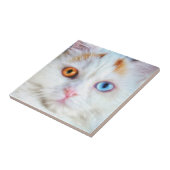 奇目の白いペルシャ猫 タイル (側面)