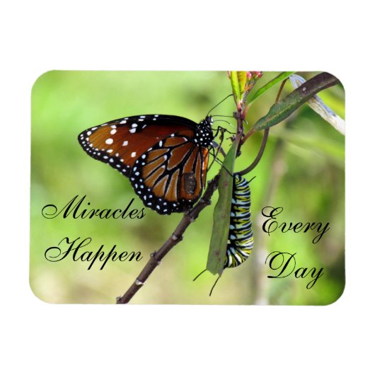 奇跡が起こる磁石 マグネット (横)