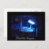 奇跡が起こる… ポストカード (正面/裏面)