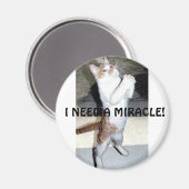 奇跡だ！マグネット マグネット (正面/裏面)